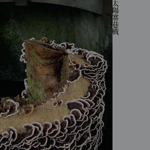 专辑 太阳寨巷战 