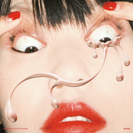 专辑 We Fought Over The Moon 